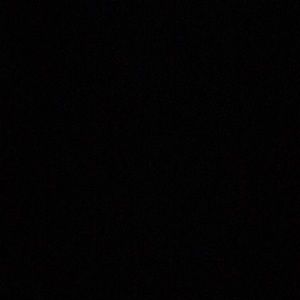 Meet your Posher, Darius